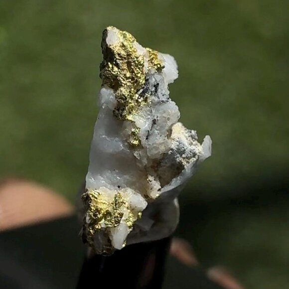 Gold on Quartz - Natural California Gold Specimen in Perky Display Box - #13 - Picture 8 of 9